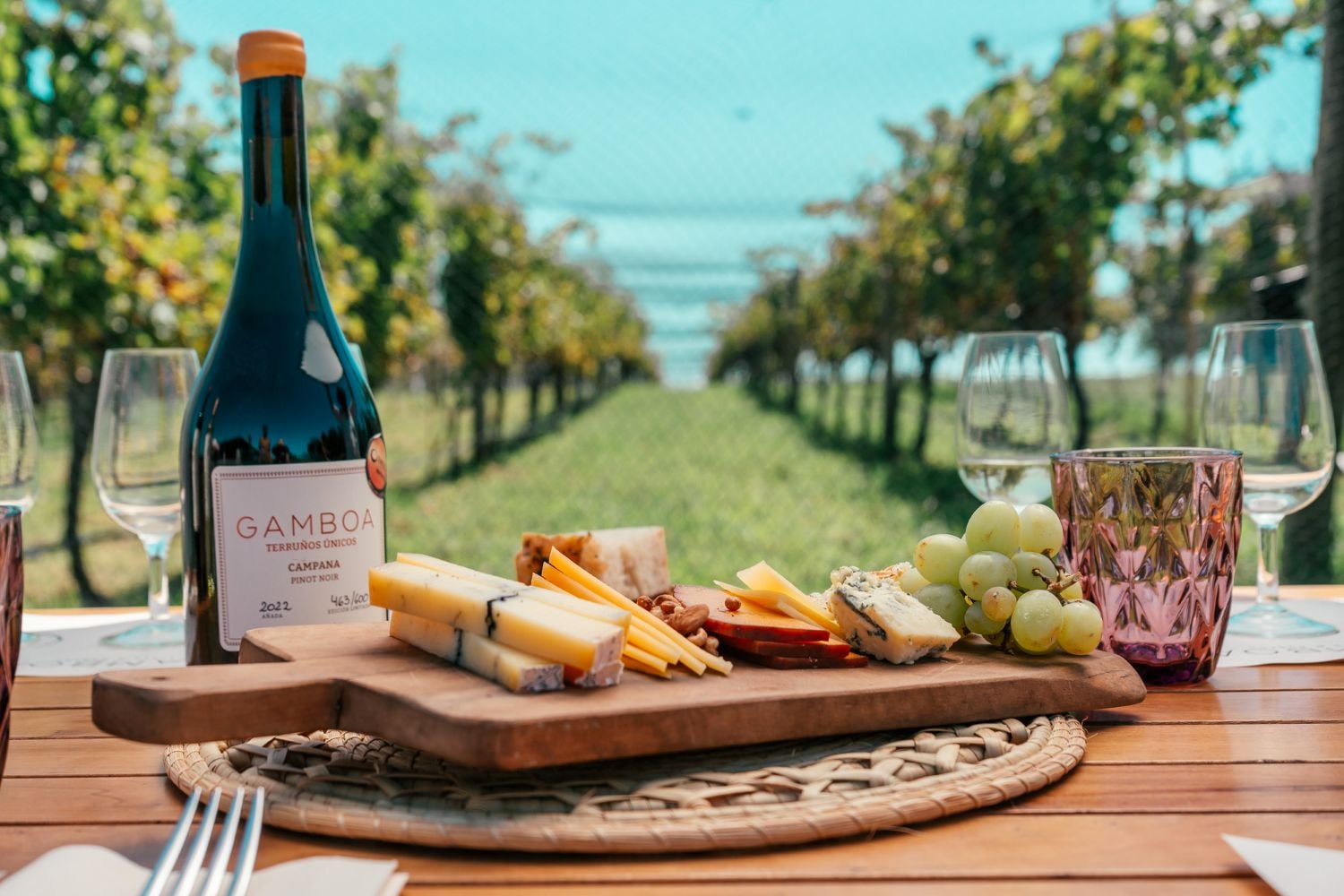 Viñedo Gamboa: Experiencia de Vino y Gastronomía - Imagen 4