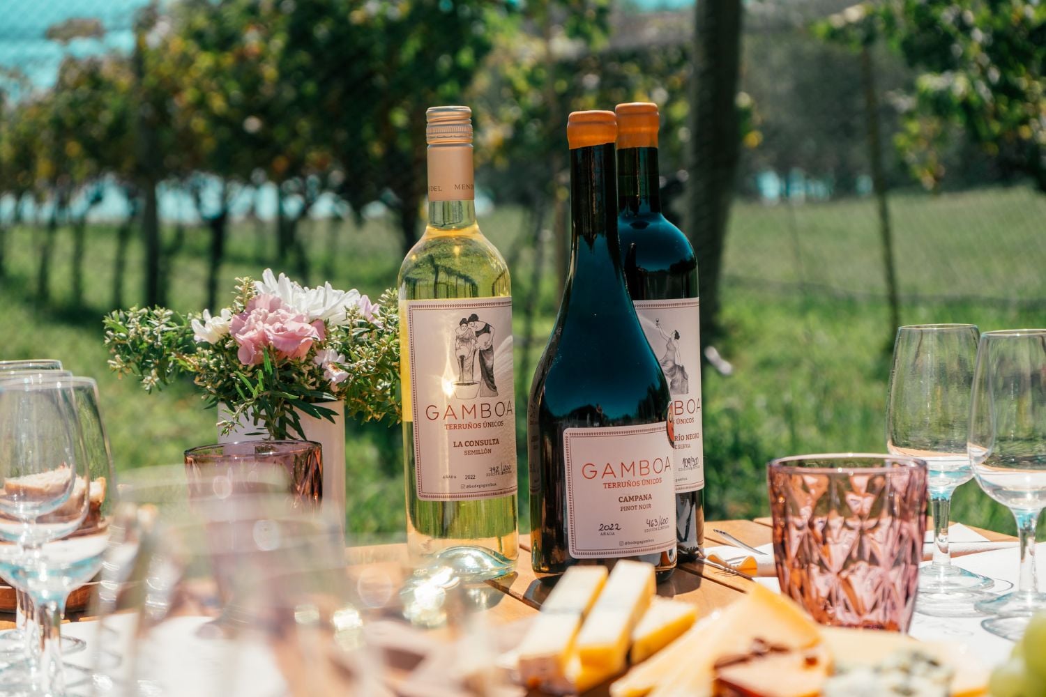 Viñedo Gamboa: Experiencia de Vino y Gastronomía - Imagen 3