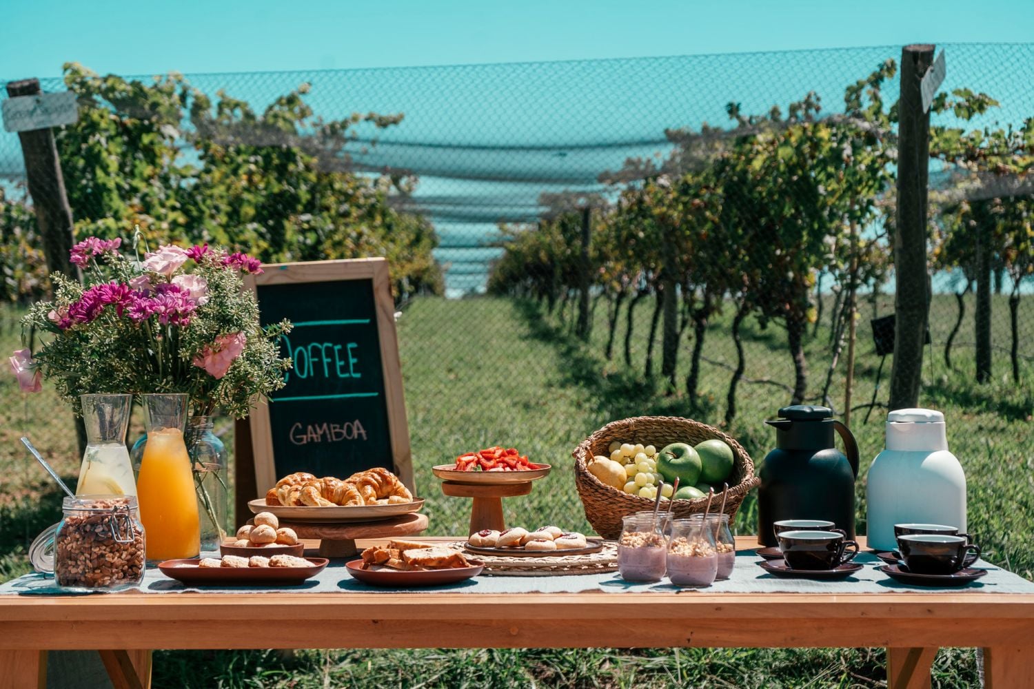 Viñedo Gamboa: Experiencia de Vino y Gastronomía - Imagen 2