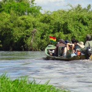 Tour por la selva - Amazonía inmersiva de 3 días/2 noches en el Parque Nacional Madidi - Imagen 2