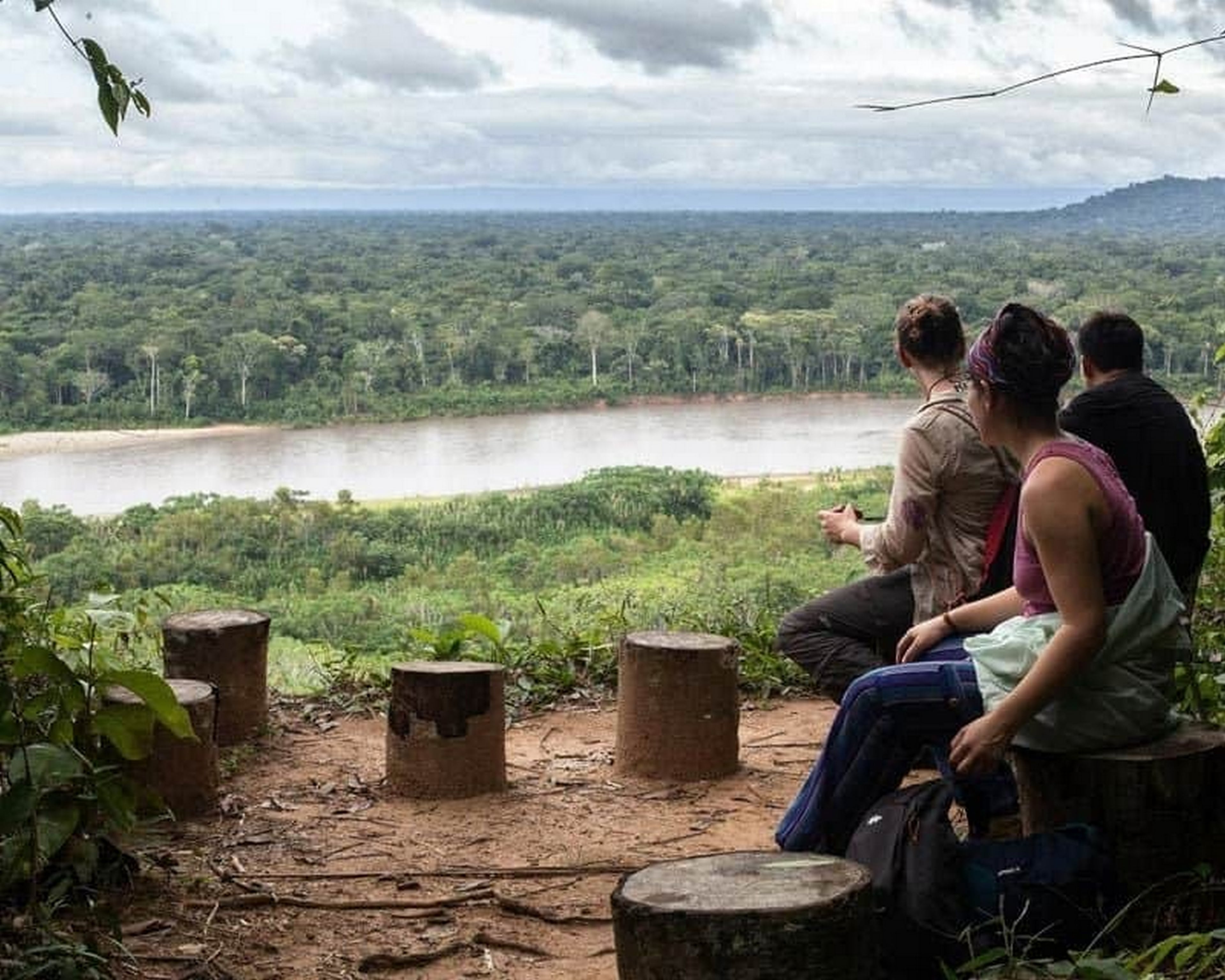 Tour por la selva - Amazonía inmersiva de 3 días/2 noches en el Parque Nacional Madidi - Imagen 4