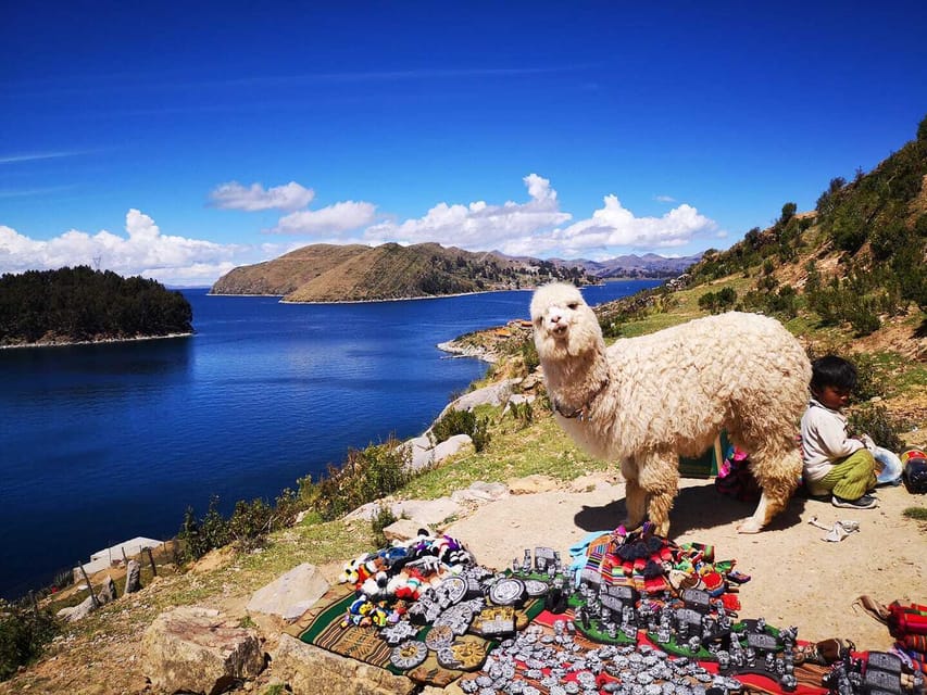 Dia Inteiro para Copacabana, Lago Titicaca e Isla del Sol - Imagen 3