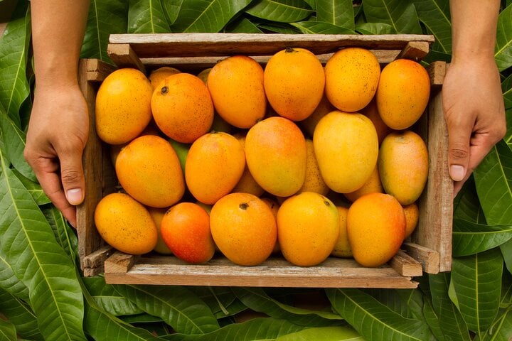 Ecuadors Tropical Fruit Guided Tasting in Quito - Imagen 2
