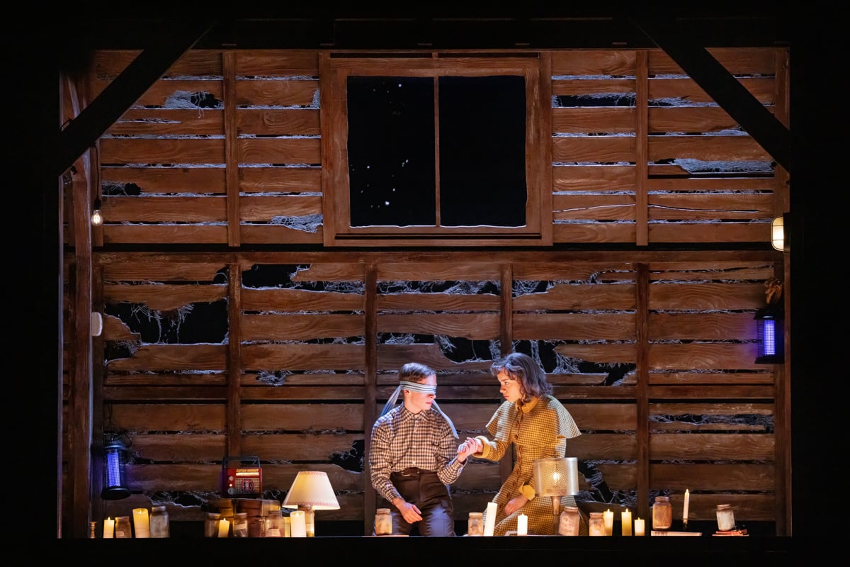 Stranger Things: La Primera Sombra en Broadway - Obra Teatral - Imagen 4