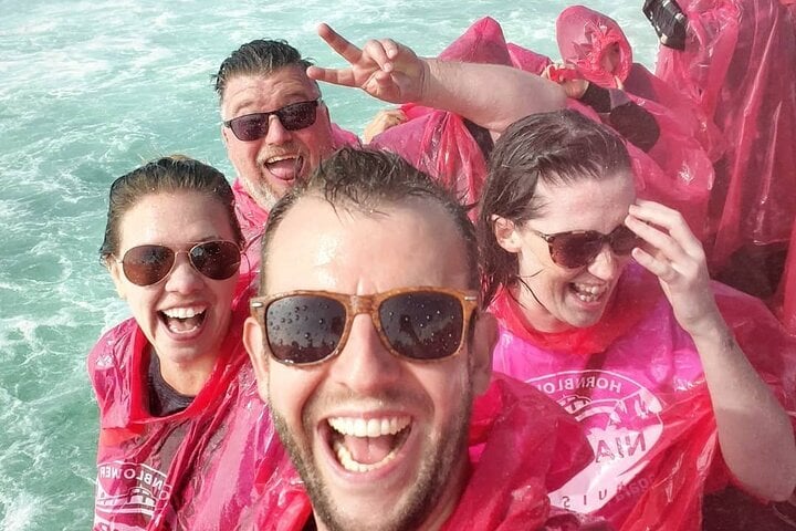 Desde Toronto: Recorrido por lo más destacado de las Cataratas del Niágara - Imagen 4