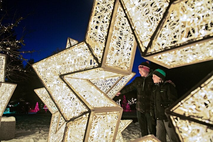 Desde Niágara: Festival de las Luces de Invierno - Imagen 3
