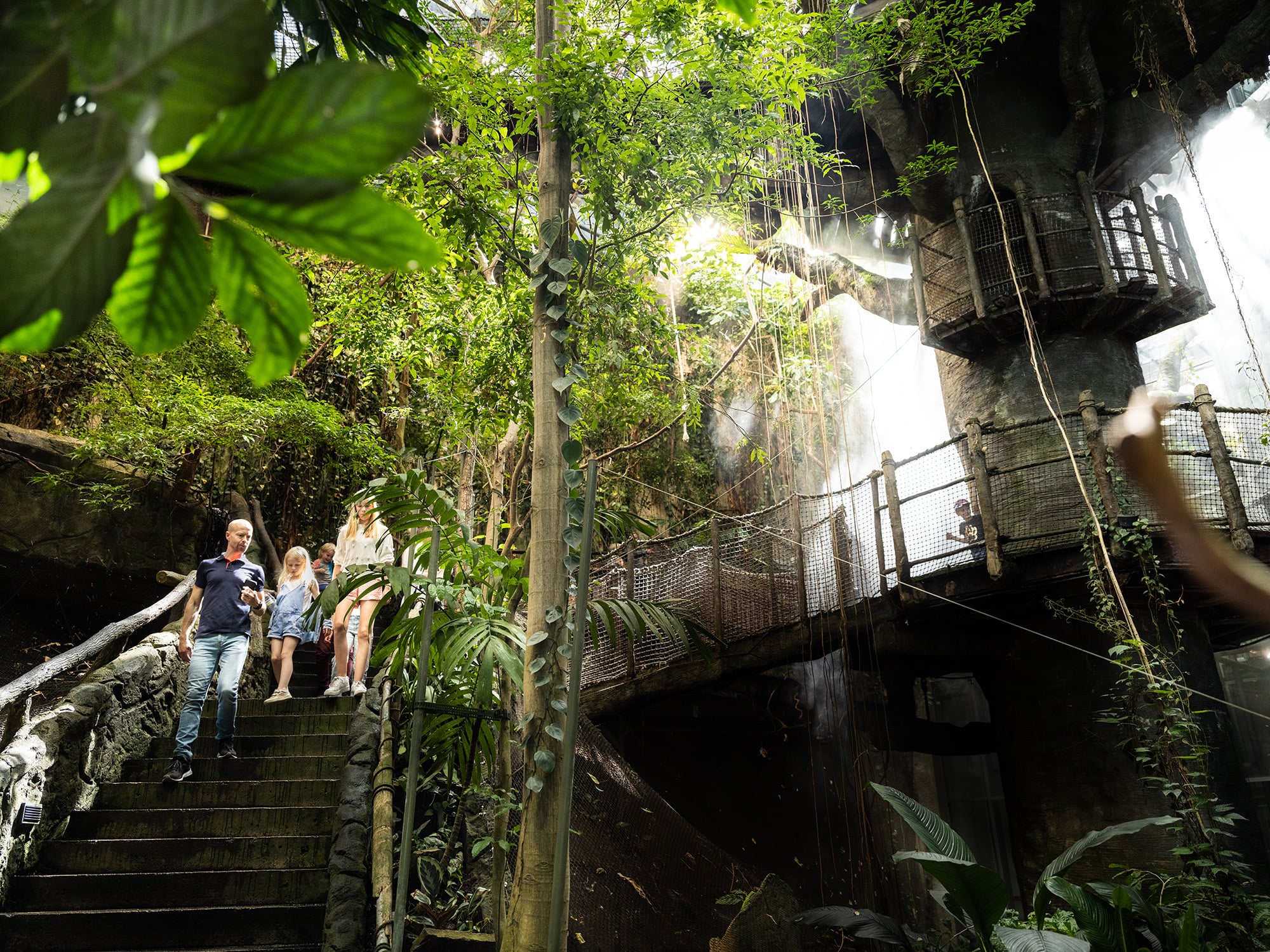 Pase Essentials Go City Gotemburgo: Visita 3 atracciones principales - Imagen 4