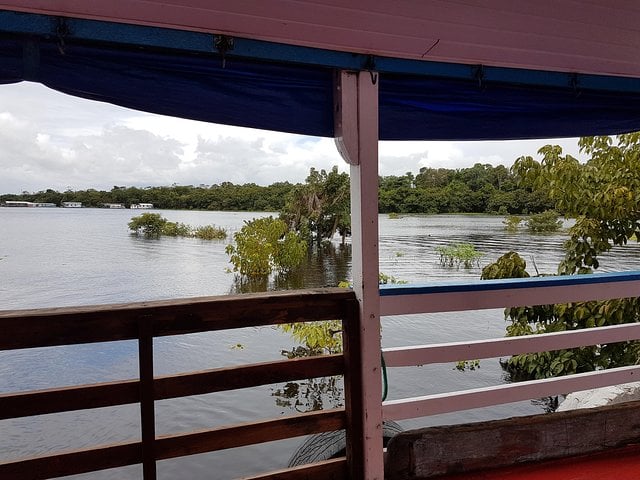 Excursión de 4 días en barco desde Manaos - Imagen 2