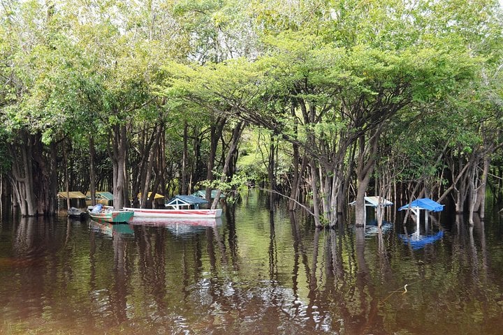 3 Days Amazon Jungle Adventure Tour - Imagen 4