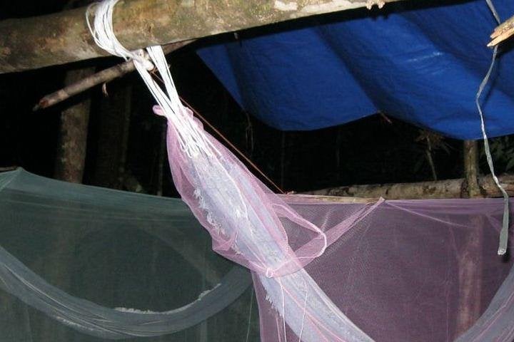 3 Days Amazon Jungle Adventure Tour - Imagen 2
