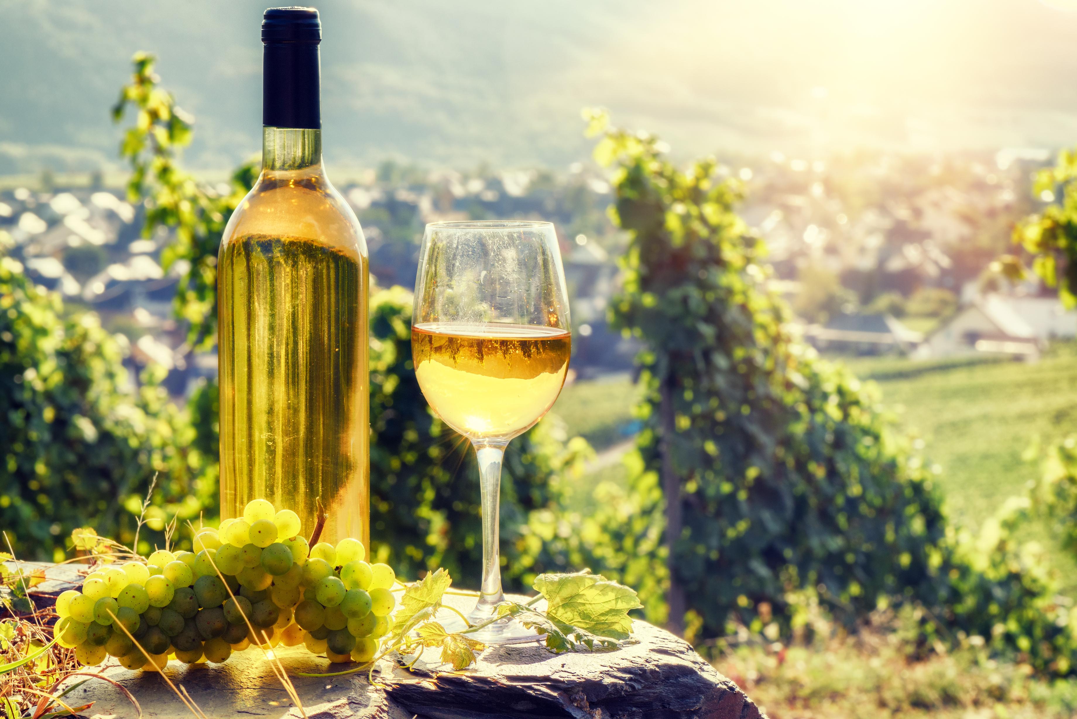 Excursión a las bodegas rumanas desde Bucarest - Imagen 2