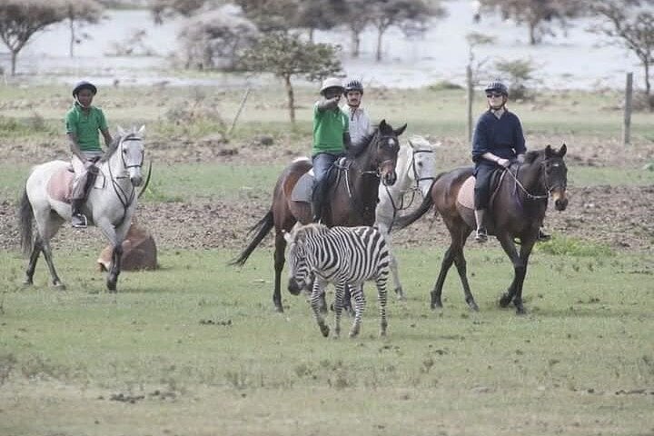 Impresionante excursión de un día a Hellsgate y el lago Naivasha - Wi-Fi gratuito - Imagen 3