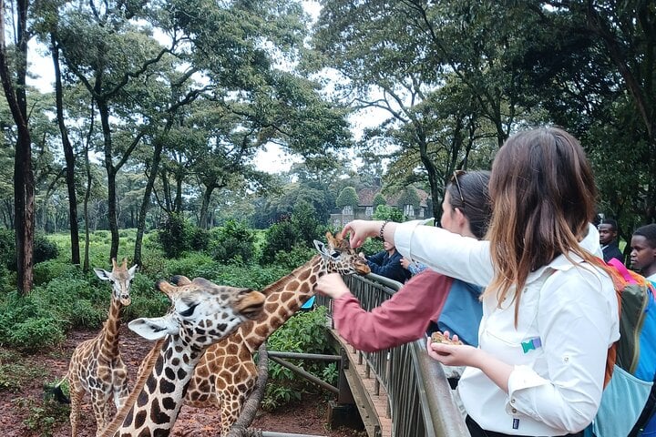Safari con tour clásico por la ciudad de Nairobi - Wi-Fi gratuito - Imagen 4