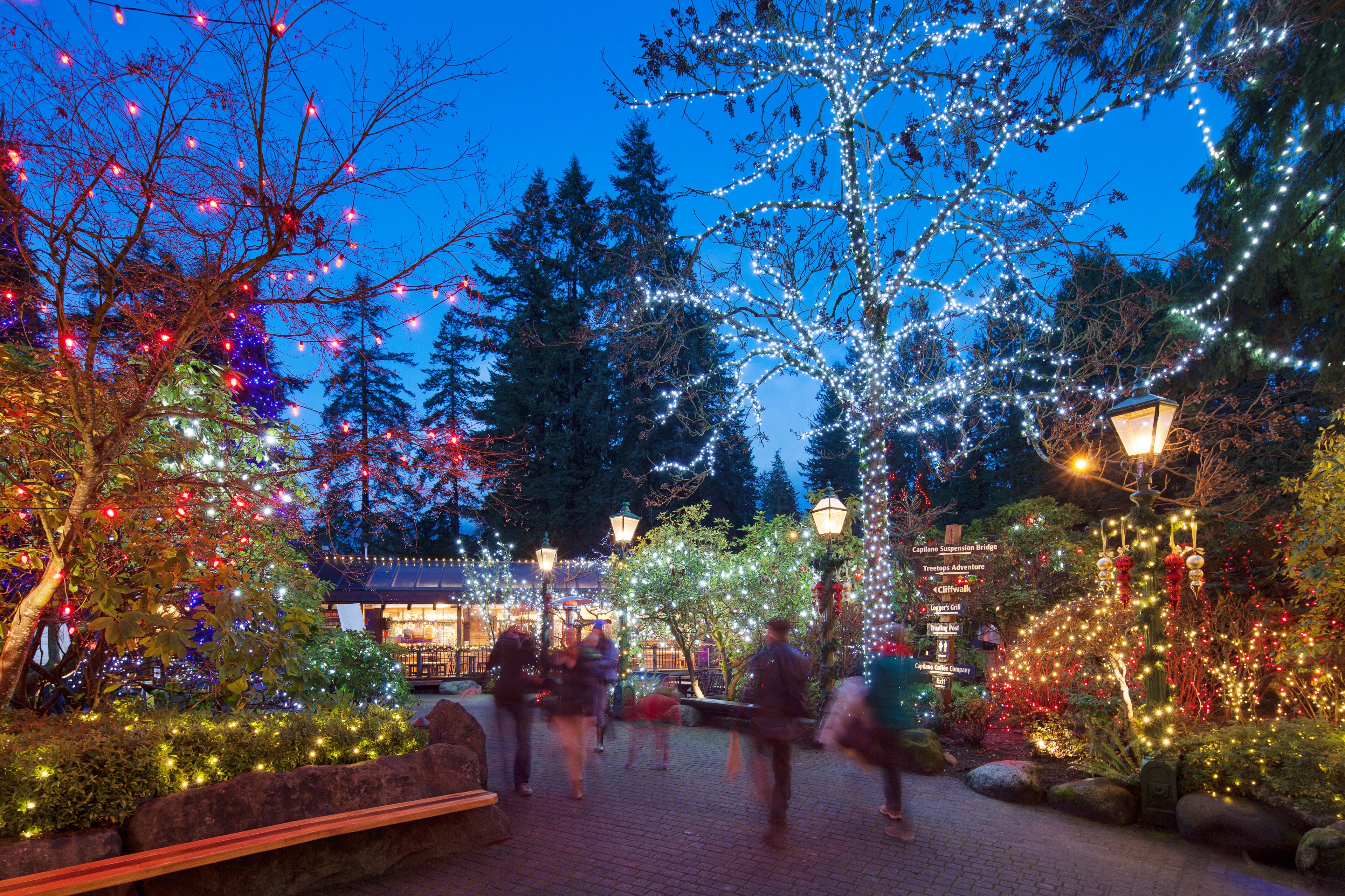 Luces festivas por la ciudad y  cañón de Capilano - Imagen 3