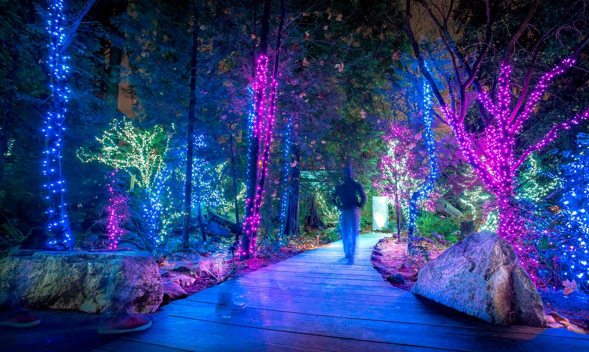 Luces festivas por la ciudad y  cañón de Capilano - Imagen 4