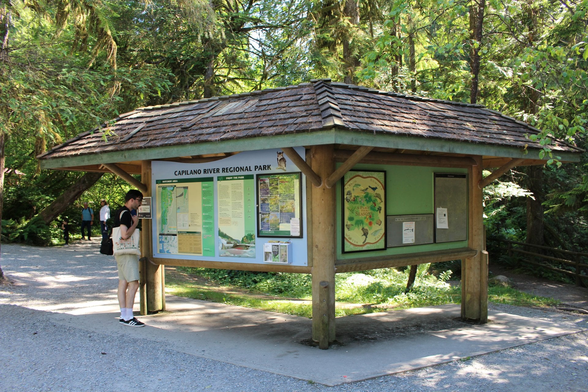 Grouse Mountain y puente colgante Capilano - Imagen 3