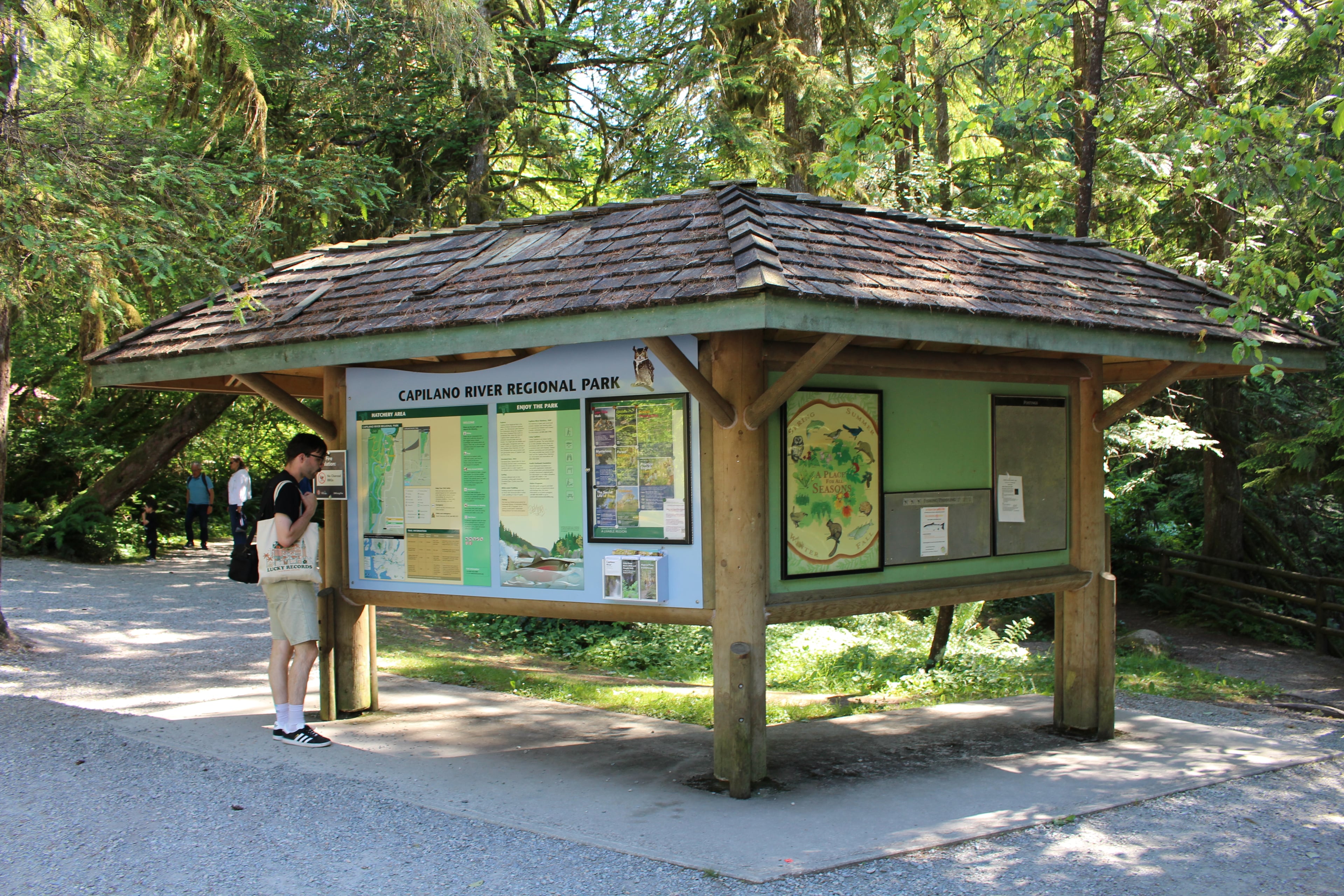 Vancouver Grouse Mountain + Capilano Suspension Bridge Tour - Imagen 3