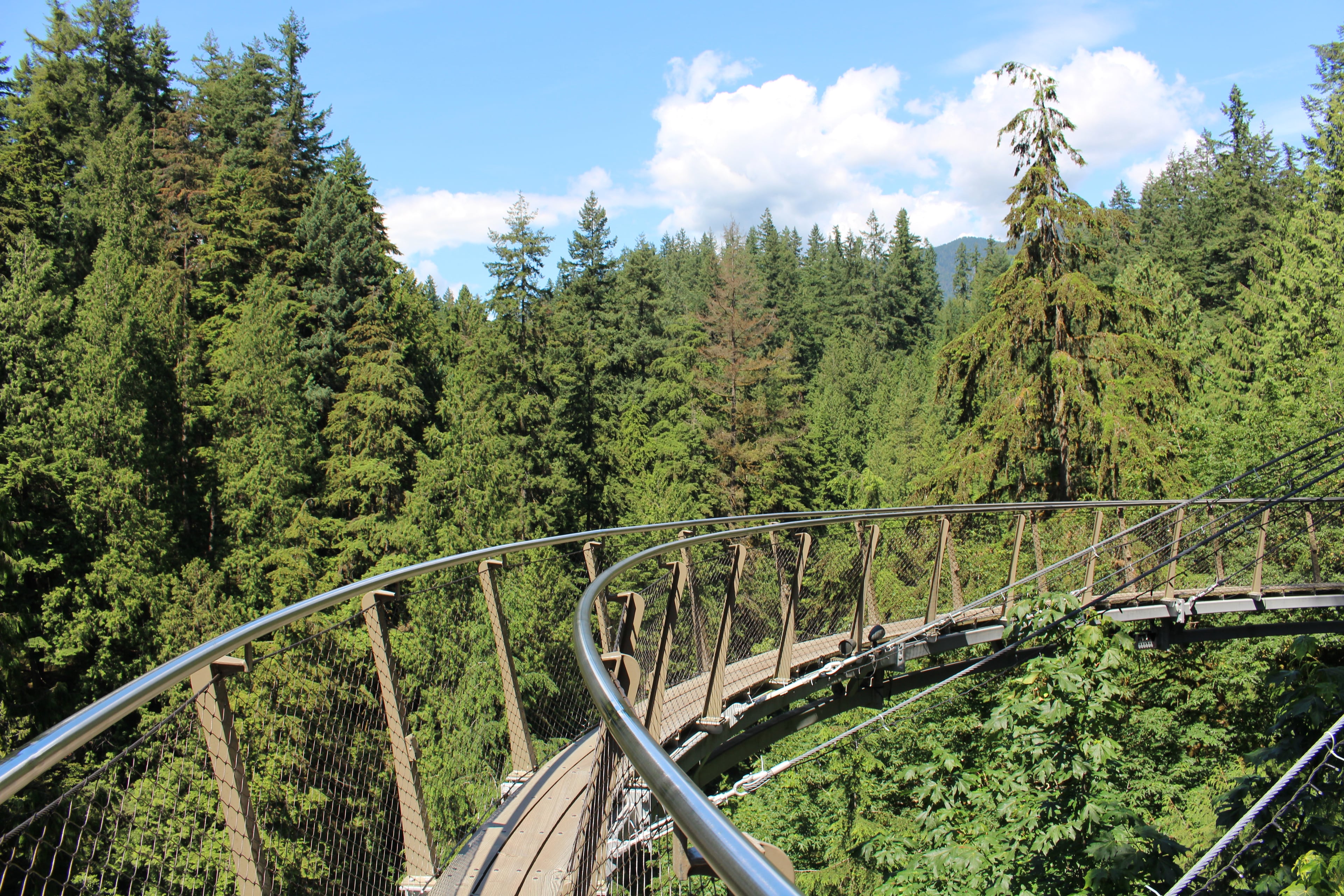 Vancouver Downtown Tour with Entry to Capilano Suspension Bridge Park - Imagen 4