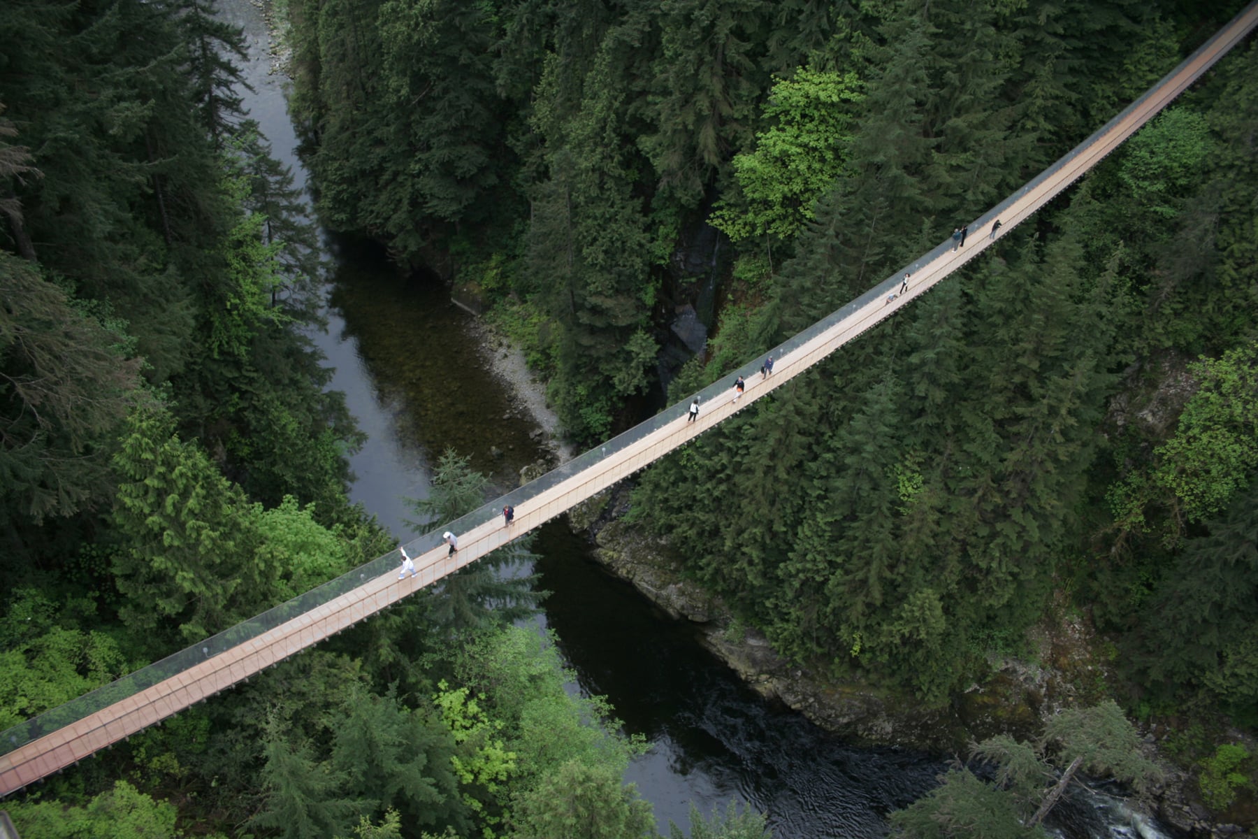 Vancouver Downtown Tour with Entry to Capilano Suspension Bridge Park - Imagen 2
