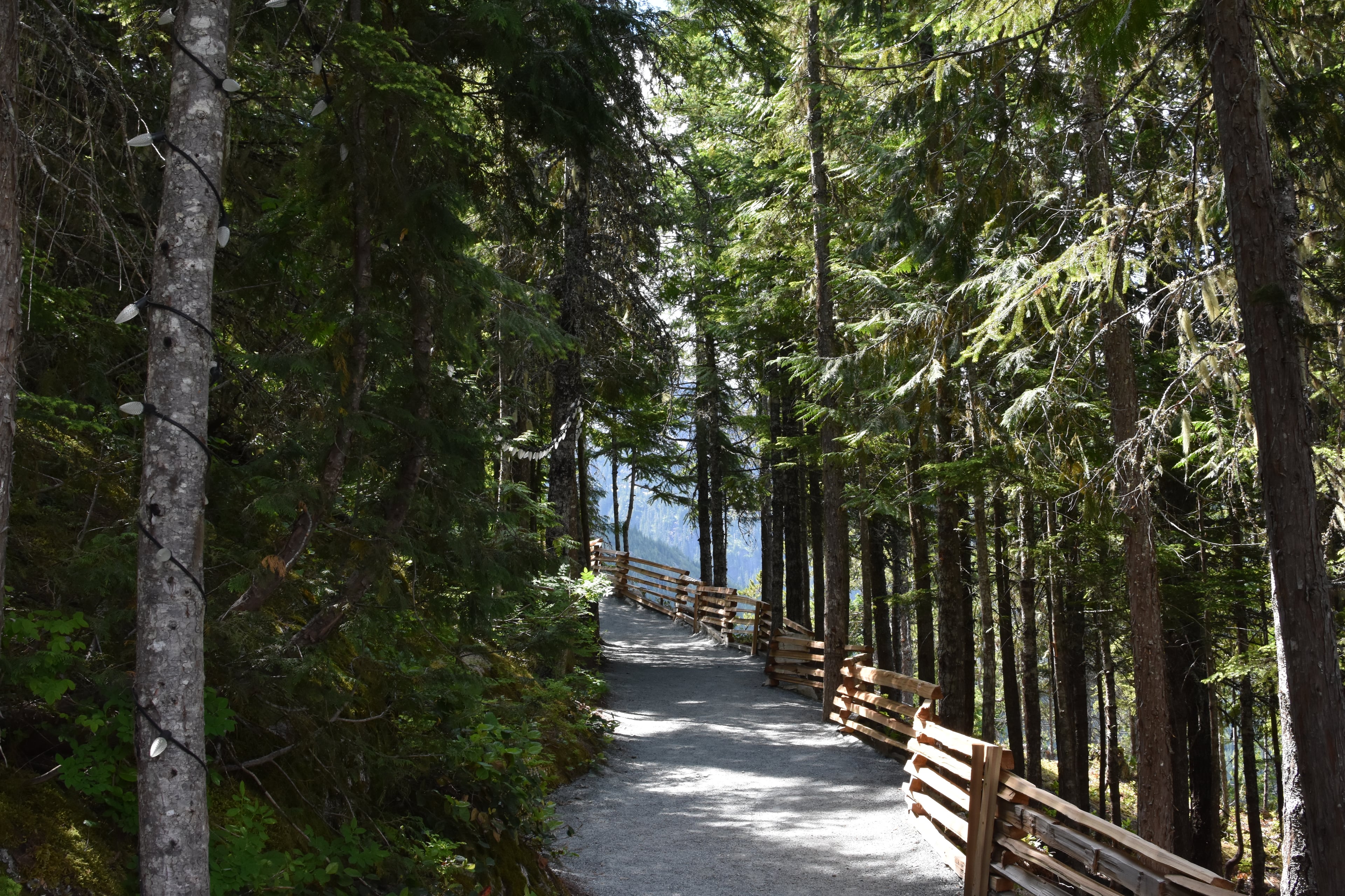 Full Day Whistler Tour with Sea to Sky Gondola Tour from Vancouver - Imagen 2