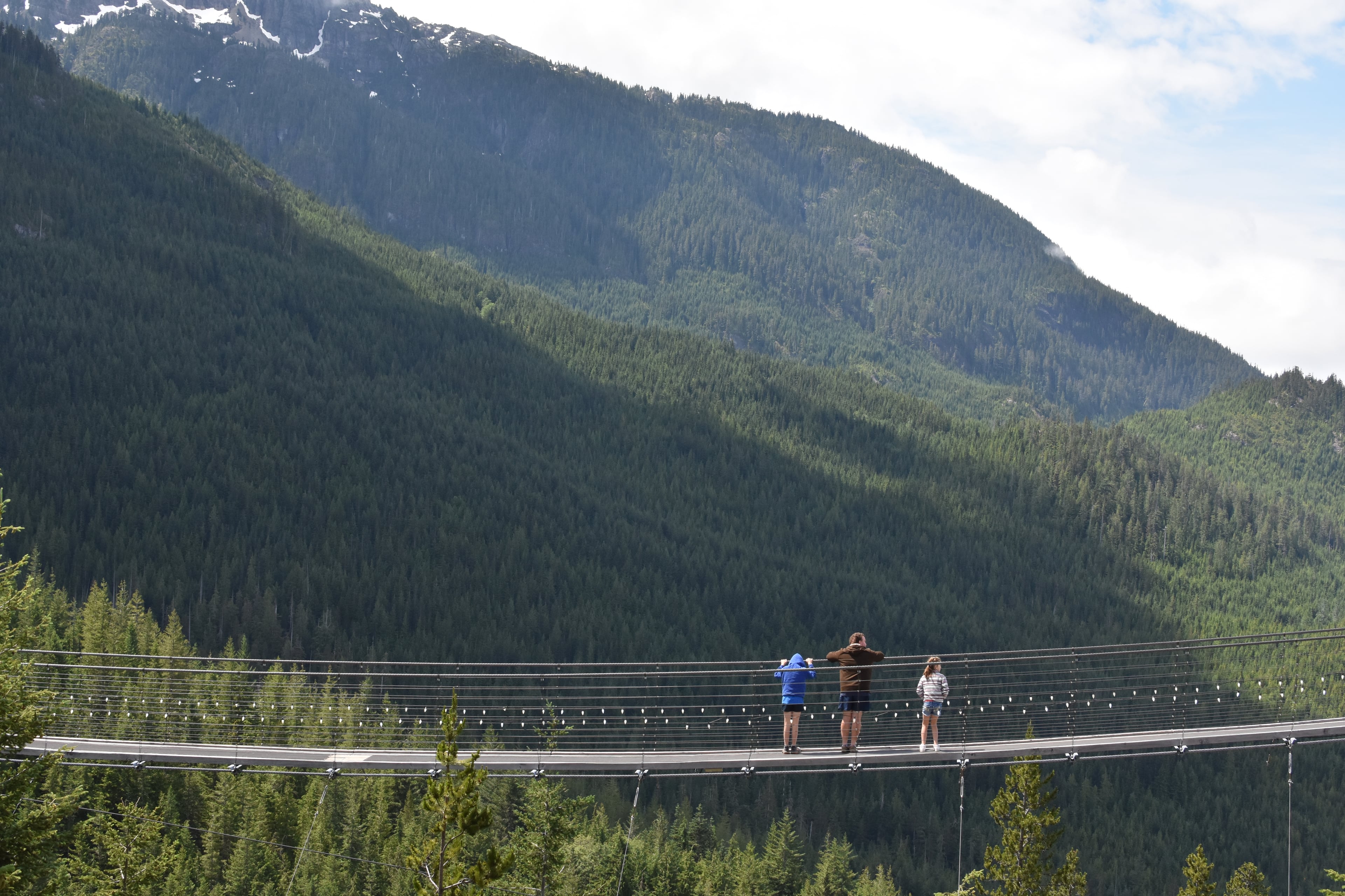 Full Day Whistler Tour with Sea to Sky Gondola Tour from Vancouver - Imagen 3