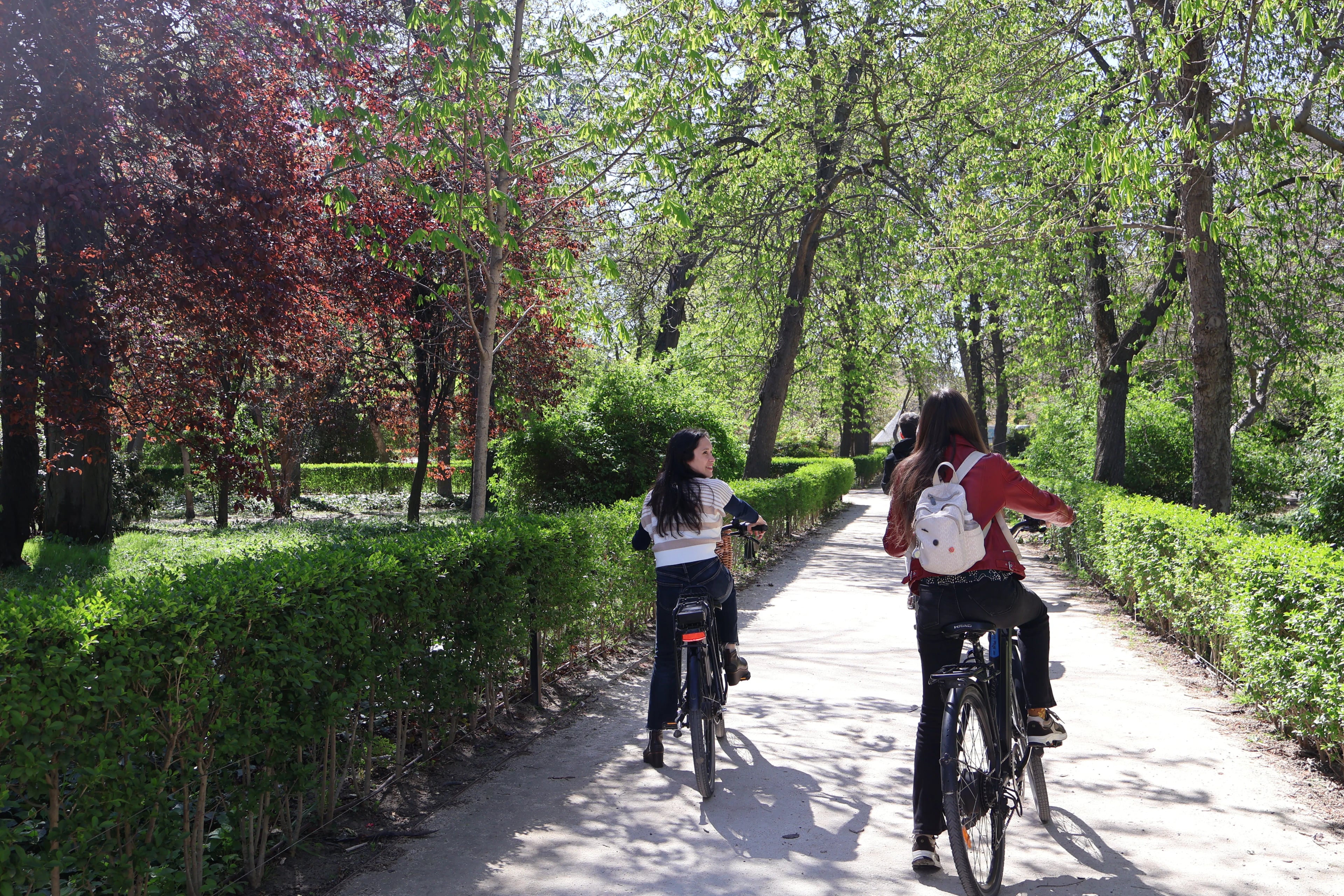 Excursión en bicicleta eléctrica por el Parque del Retiro (grupo reducido) - Imagen 3