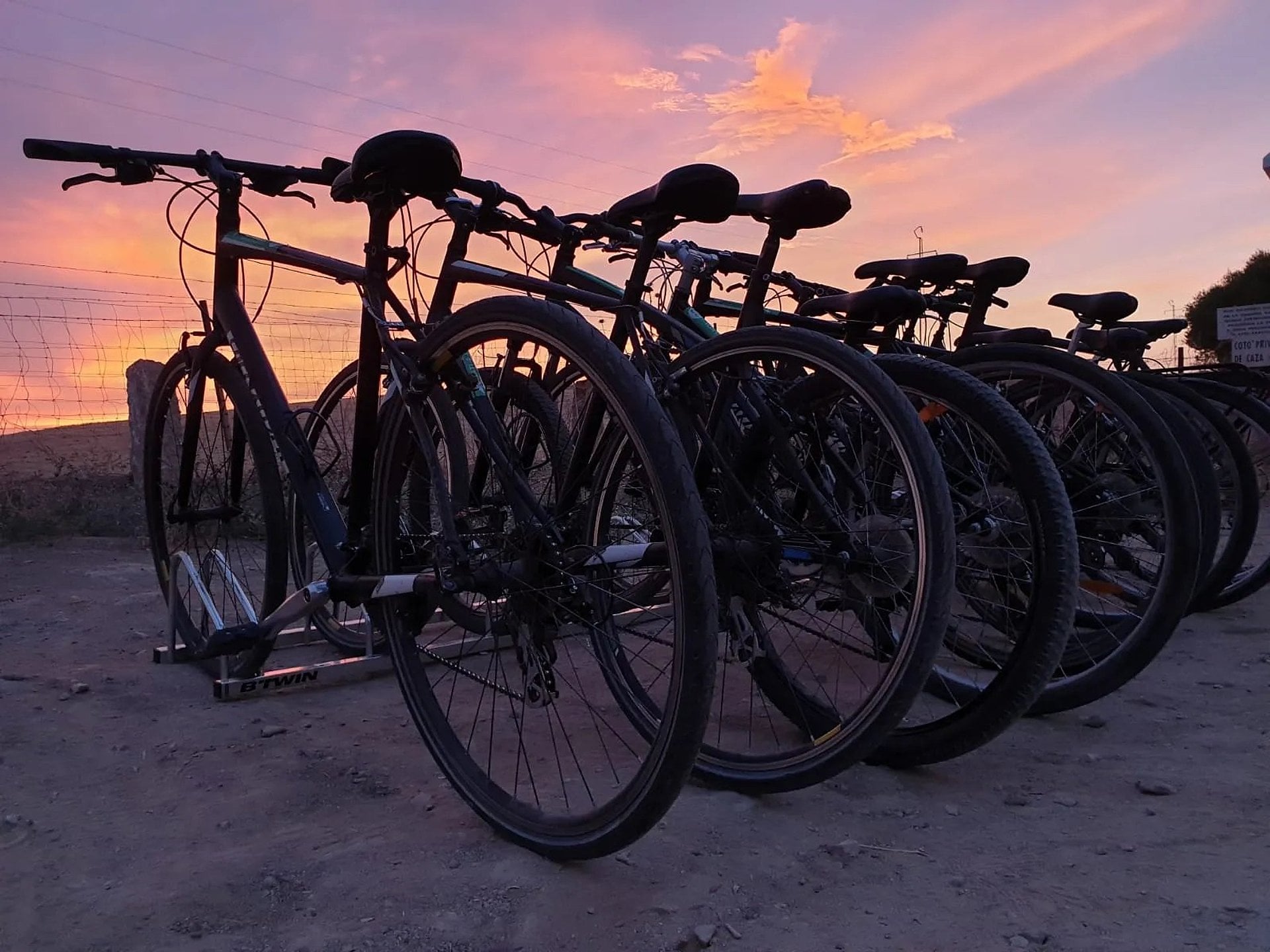 Tour en bicicleta por Sevilla - Imagen 2