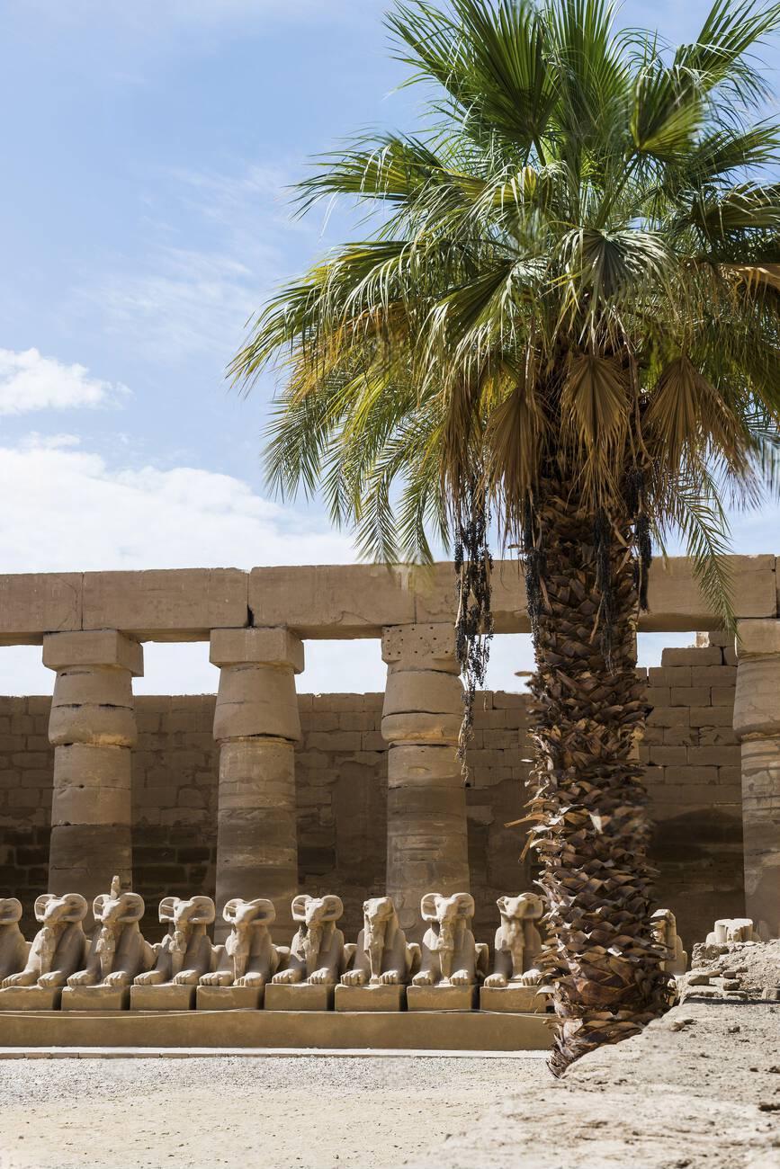 Día completo en la orilla este de Luxor, Karnak, templos de Luxor, callejón de las esfinges y almuerzo. - Imagen 3