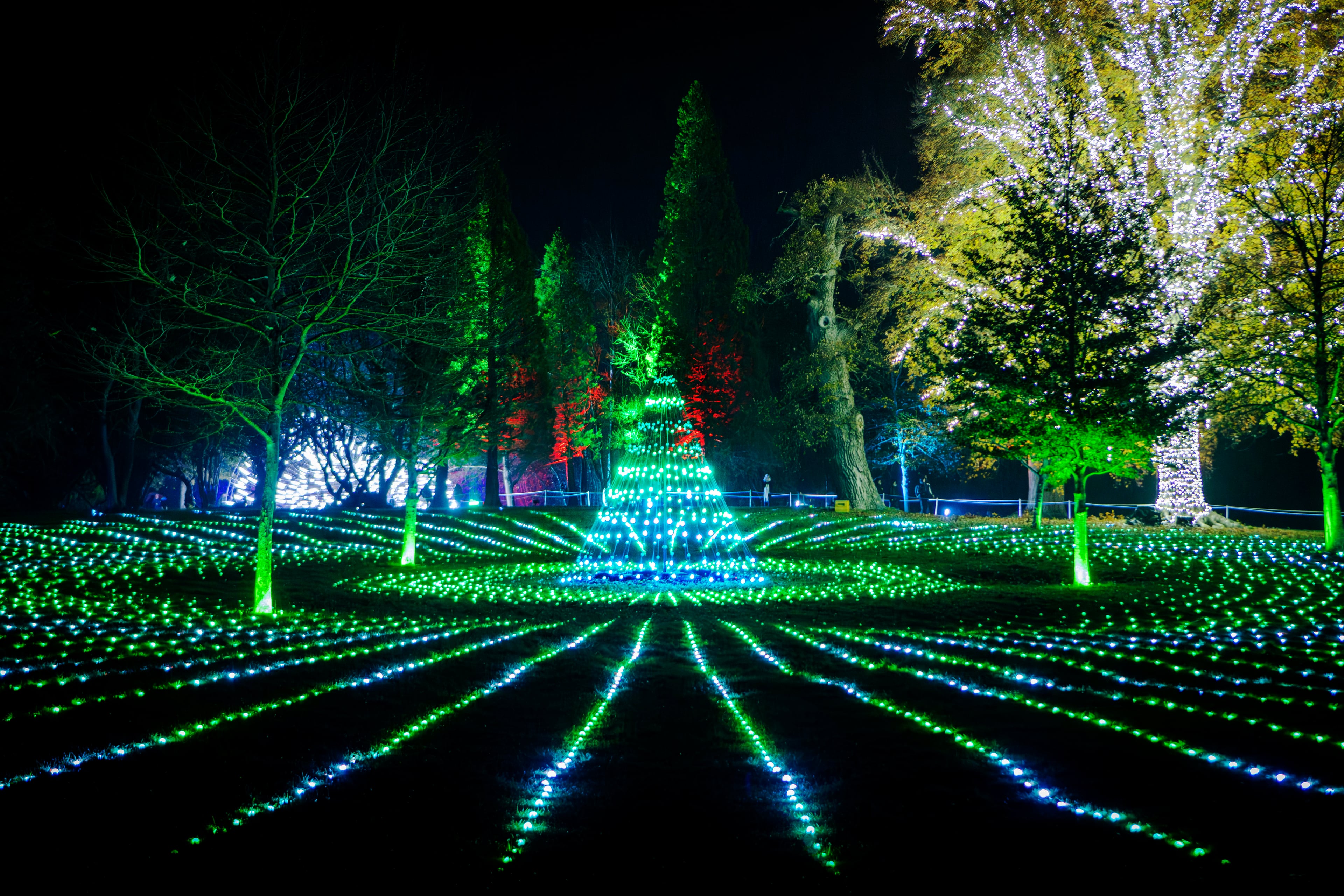Navidad en el Palacio de Blenheim - Imagen 3
