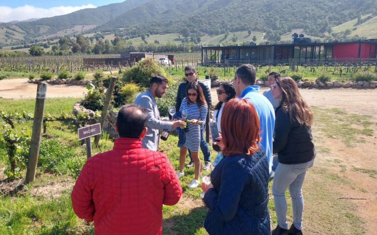 Viñedos de Colchagua: Neyen y Viu Manent - Imagen 2