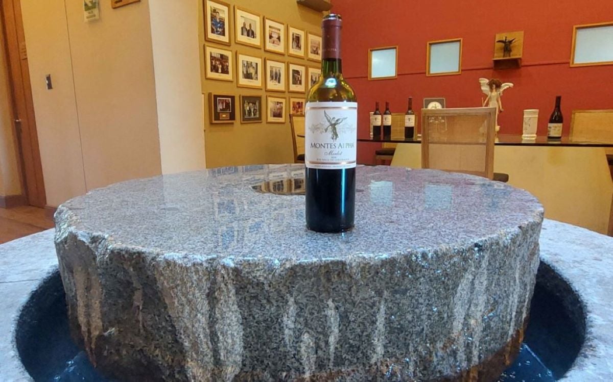 Viñedos de Colchagua: Neyen y Viu Manent - Imagen 3
