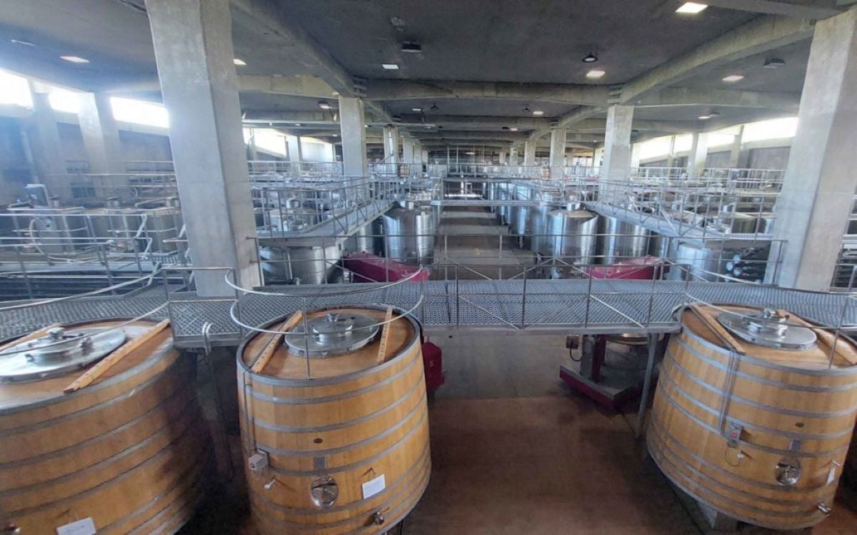 Viñedos de Colchagua: Neyen y Viu Manent - Imagen 4