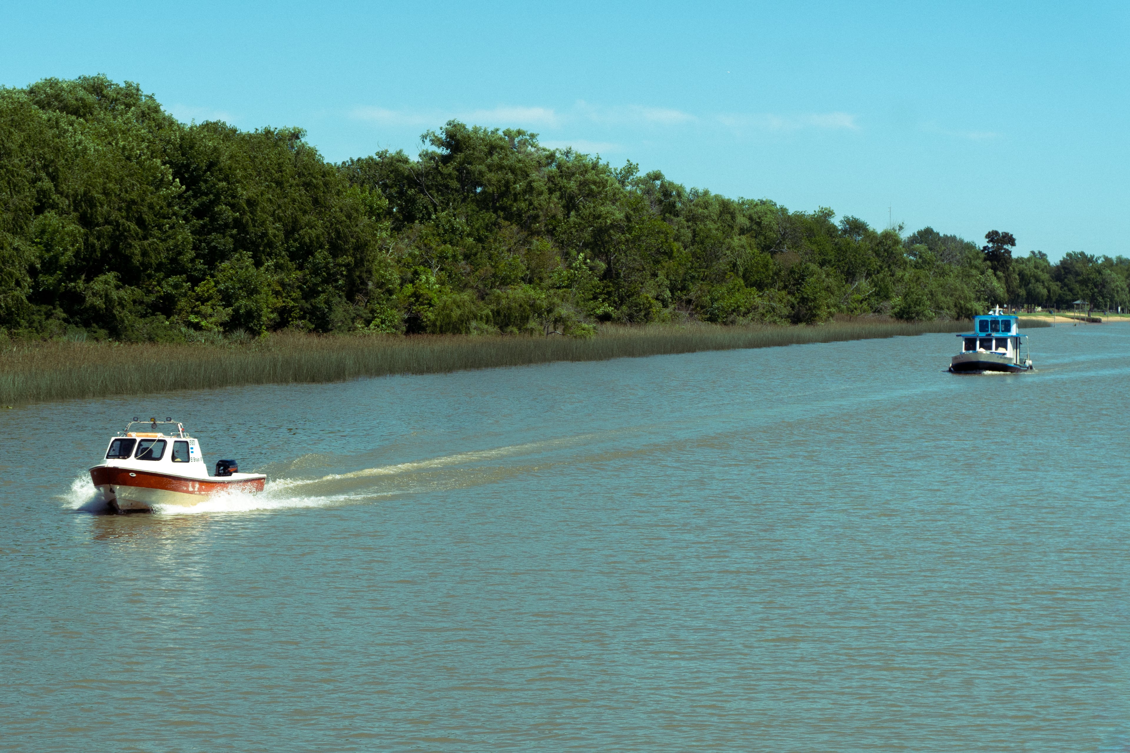 Excursión al Delta de Tigre Clásico desde Buenos Aires - Imagen 2