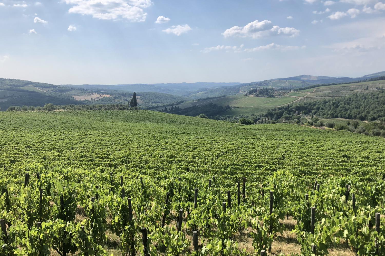 Explorando Chianti en Vespa eléctrica - Imagen 2