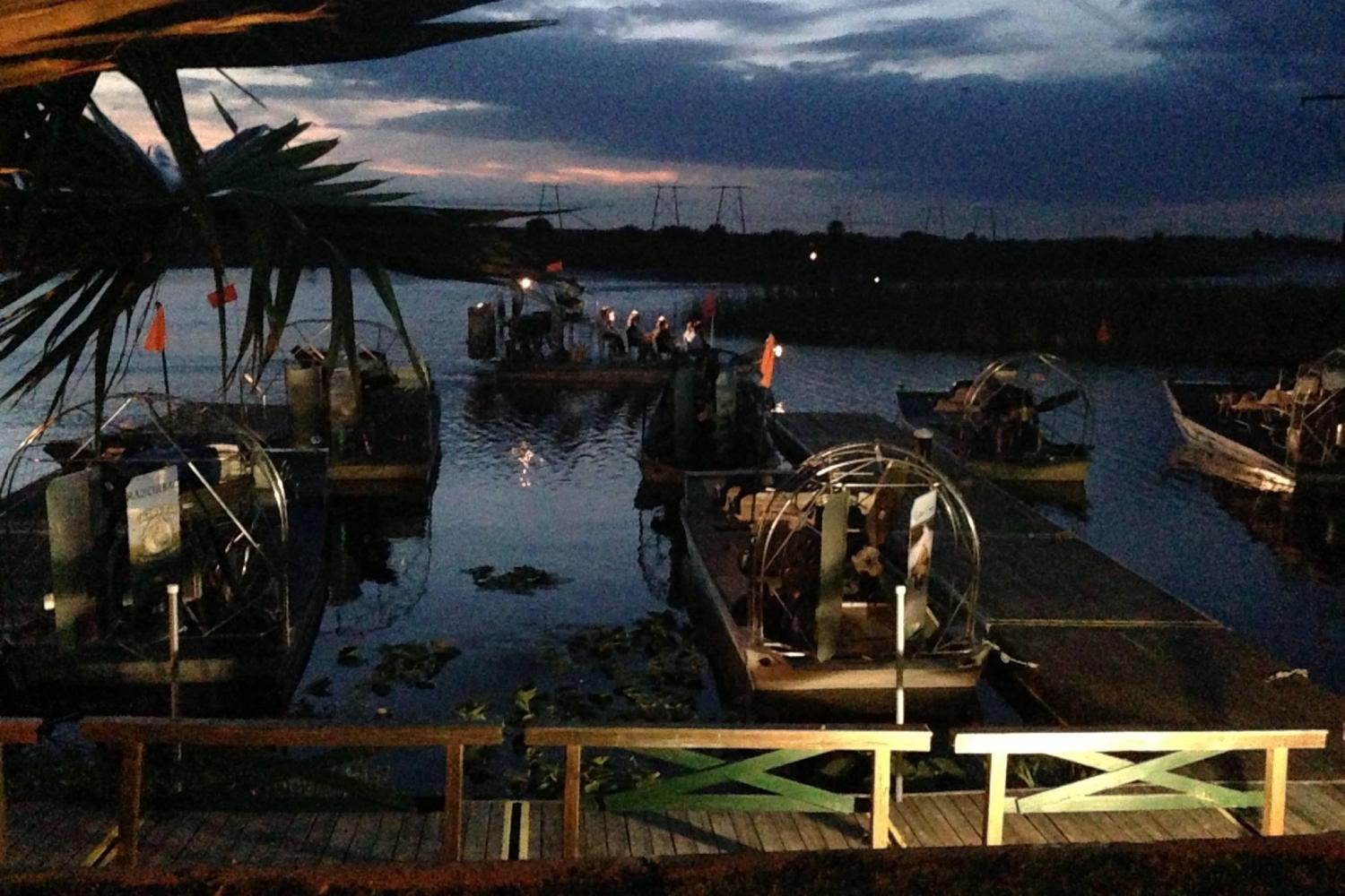 Recorrido nocturno por los Everglades: Parque recreativo Sawgrass - Imagen 3