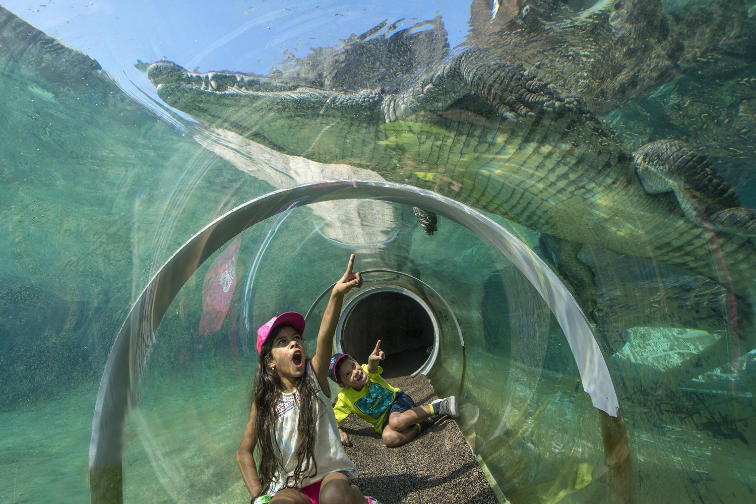Zoológico de Miami con transporte - Imagen 2