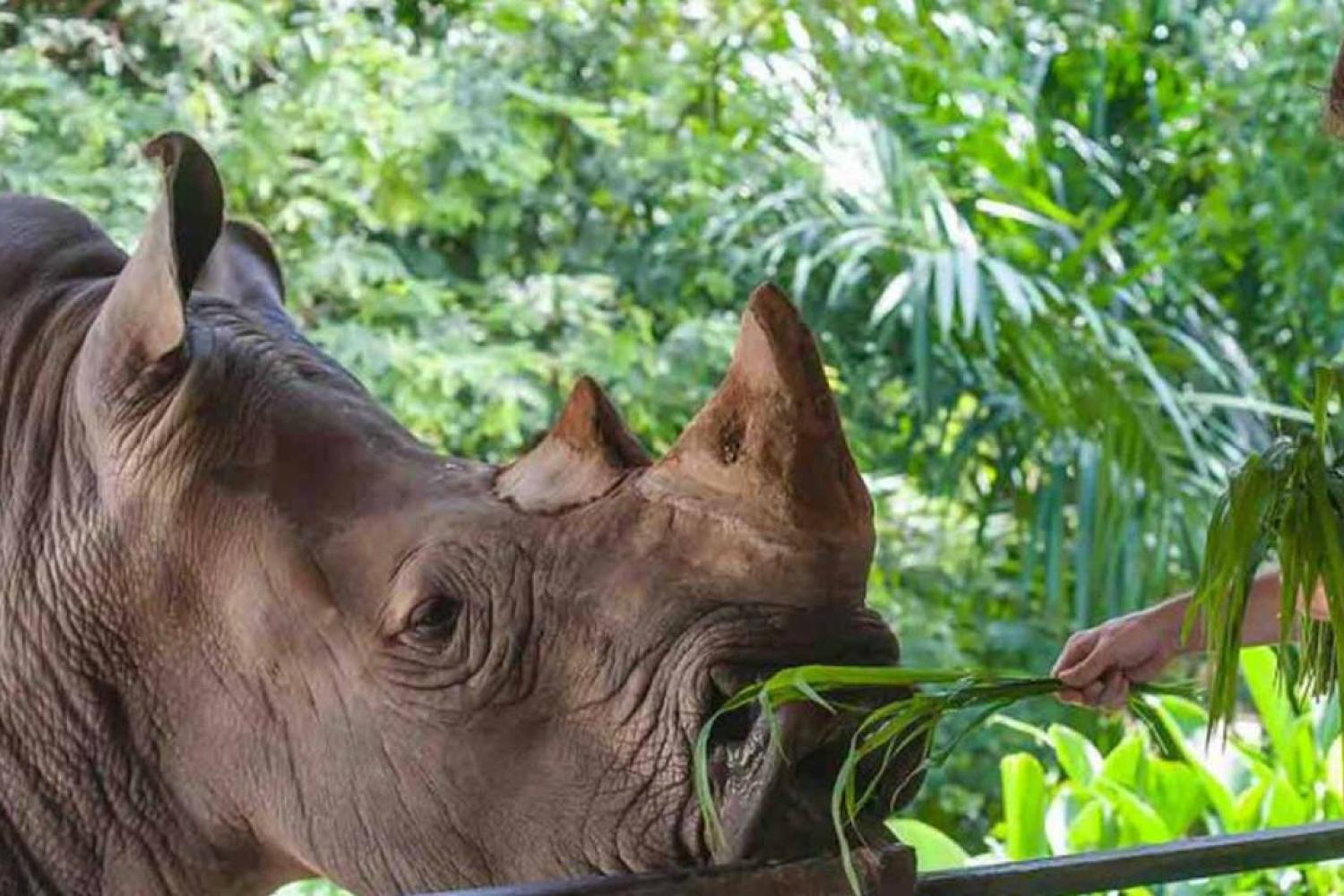 Zoológico de Miami con transporte - Imagen 3
