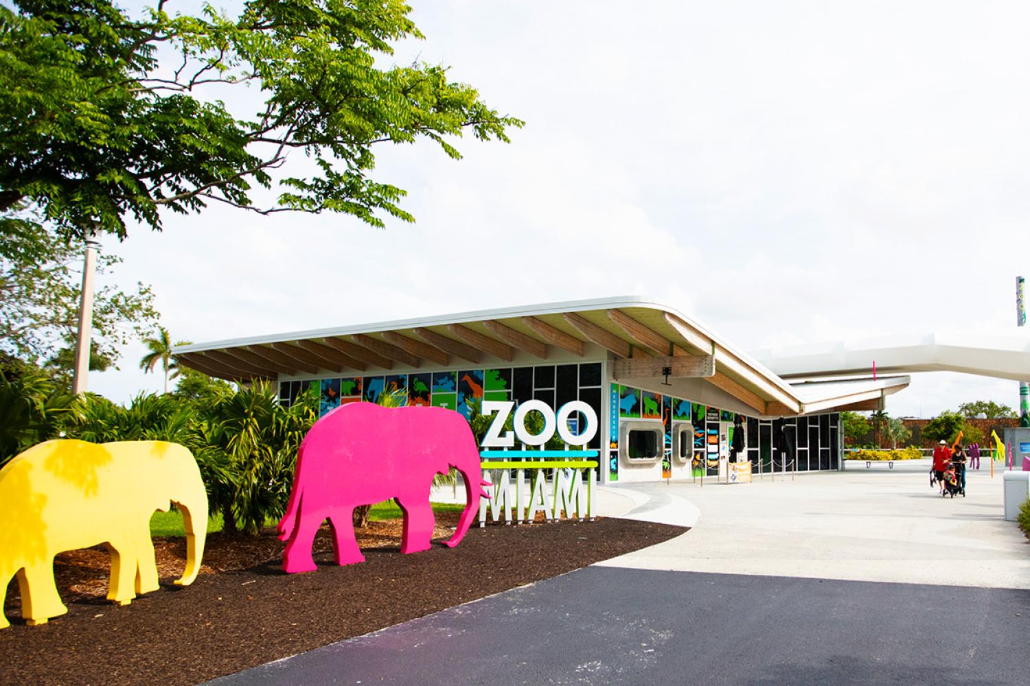 Zoológico de Miami con transporte - Imagen 4