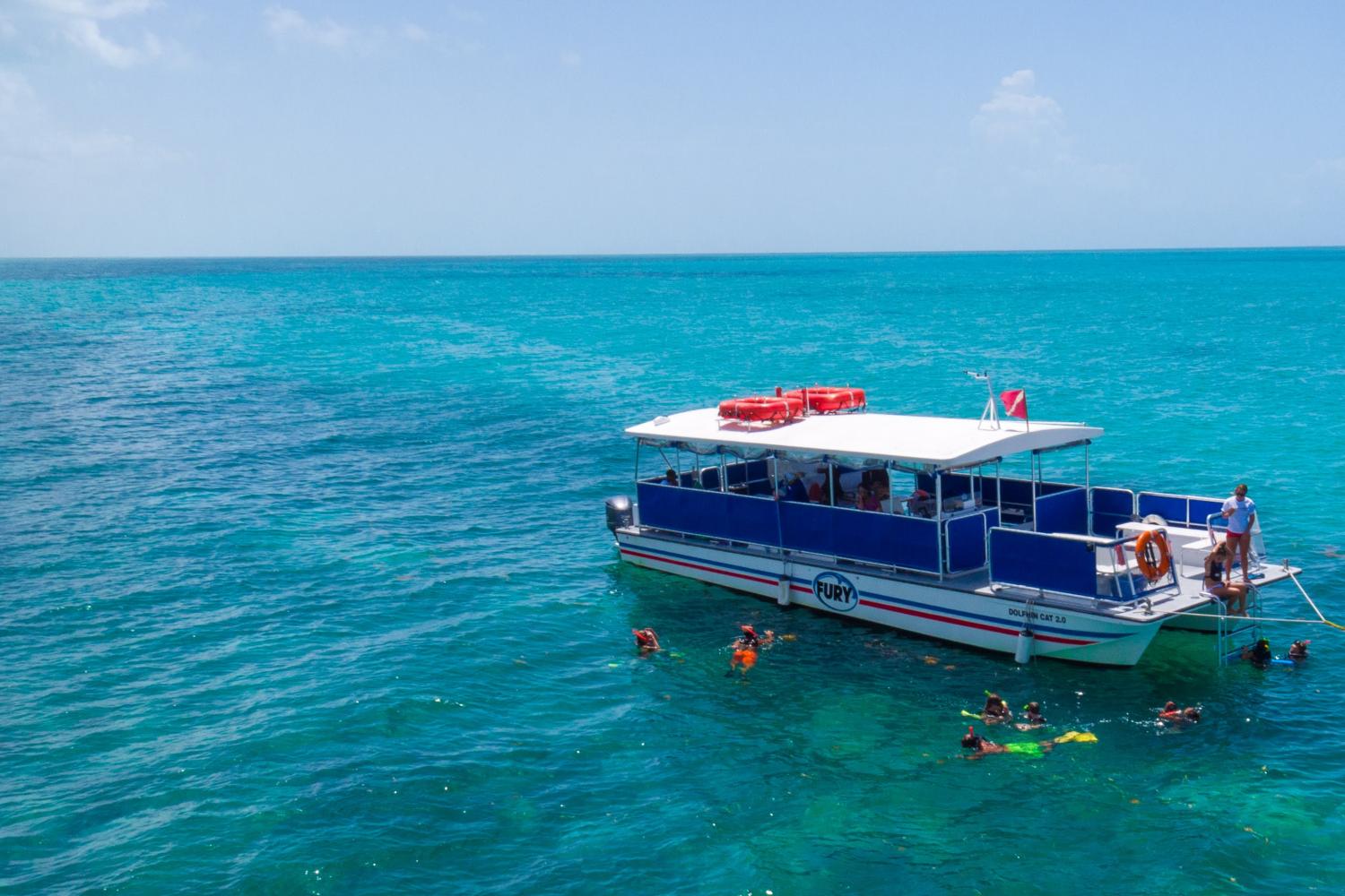 Avistamiento de delfines y esnórquel en Key West - Imagen 2