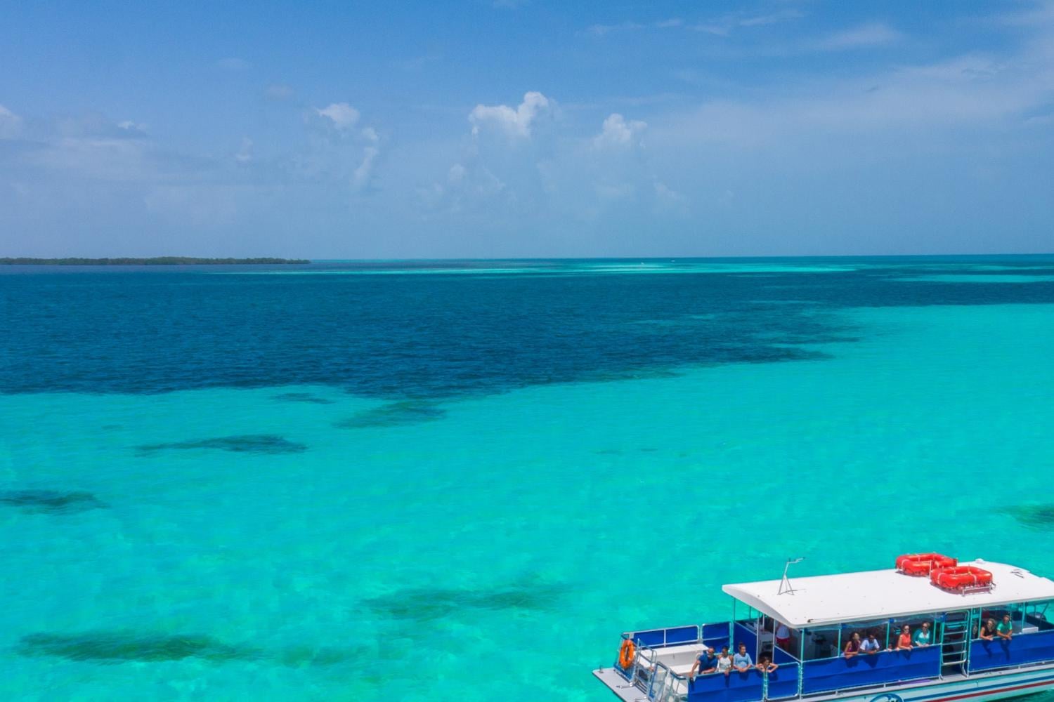Avistamiento de delfines y esnórquel en Key West - Imagen 3