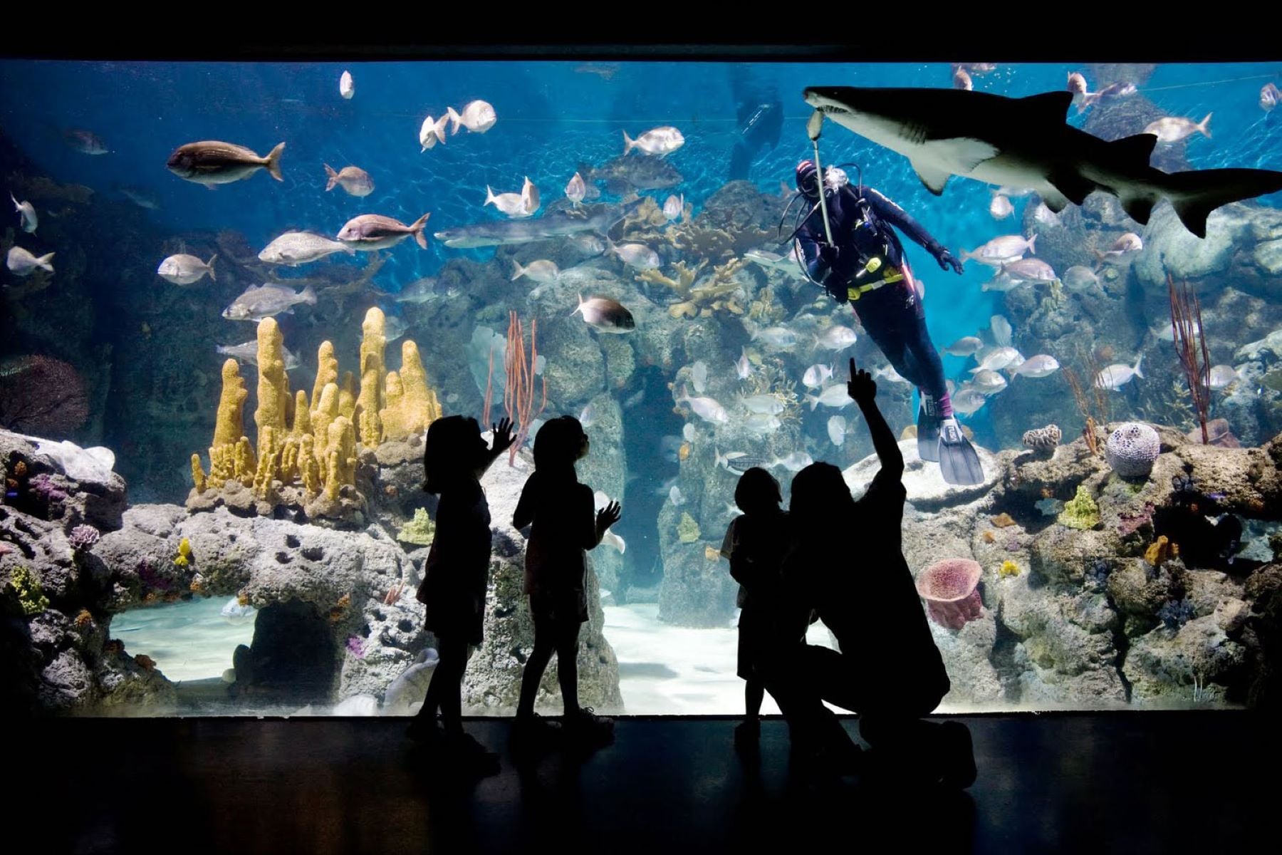 Tour a Temaiken con traslados: Un Viaje a la Naturaleza - Imagen 3
