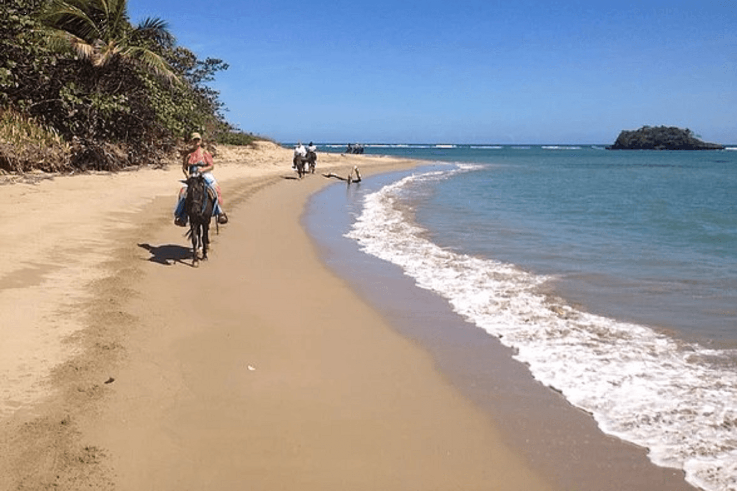 Paseo a Caballo por Punta Cana 1 hora - Imagen 2
