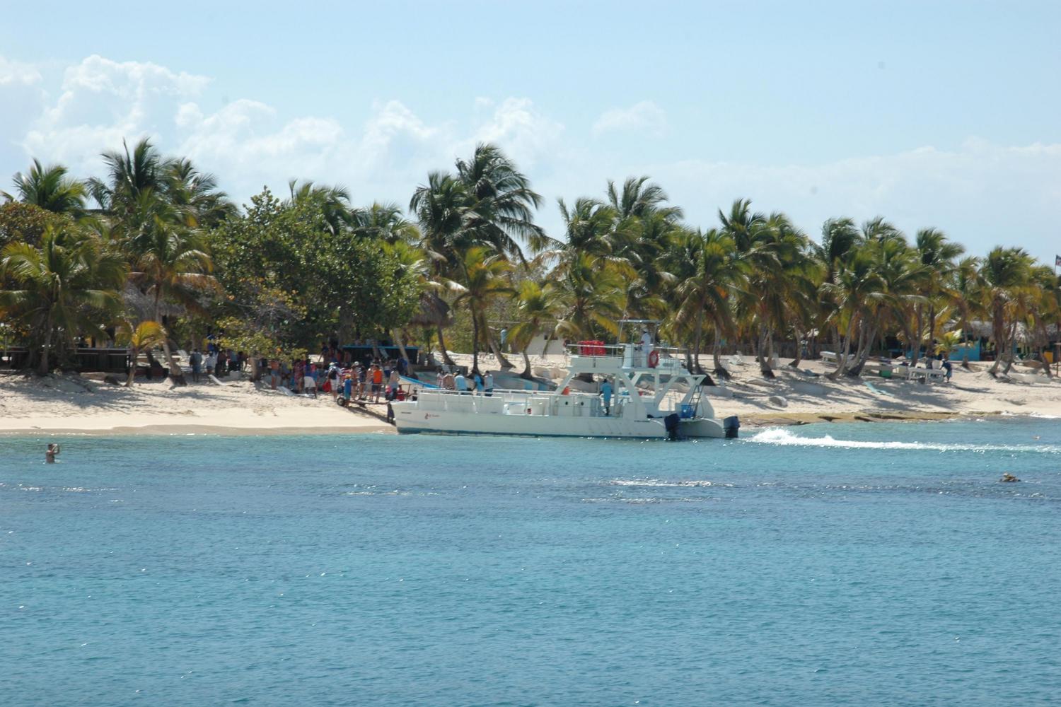 Snorkel en Catalina desde Punta Cana - Imagen 2