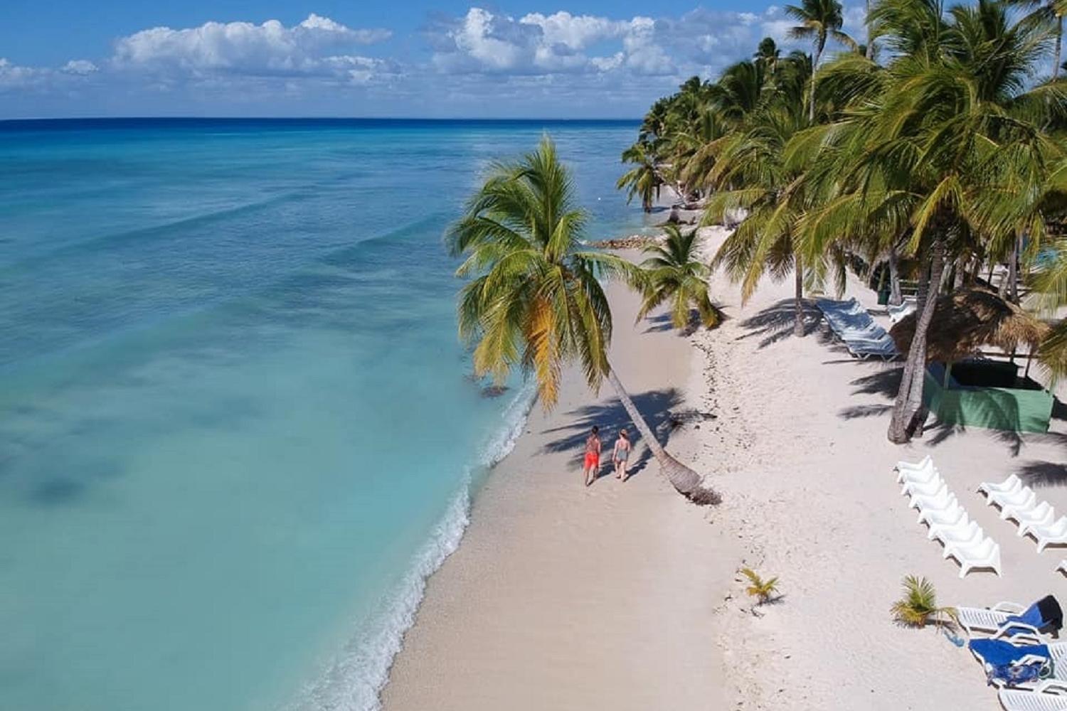 Snorkel en Catalina desde Punta Cana - Imagen 3