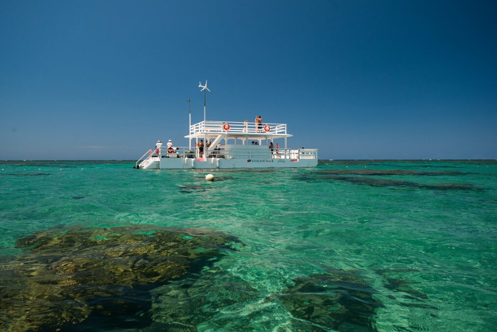 Maracajaú - Experiencia en el Caribe del Rio Grande do Norte - Imagen 2
