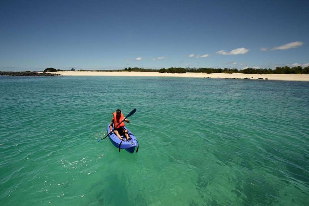 Excursión a Playa Tortuga Bay - Imagen 2