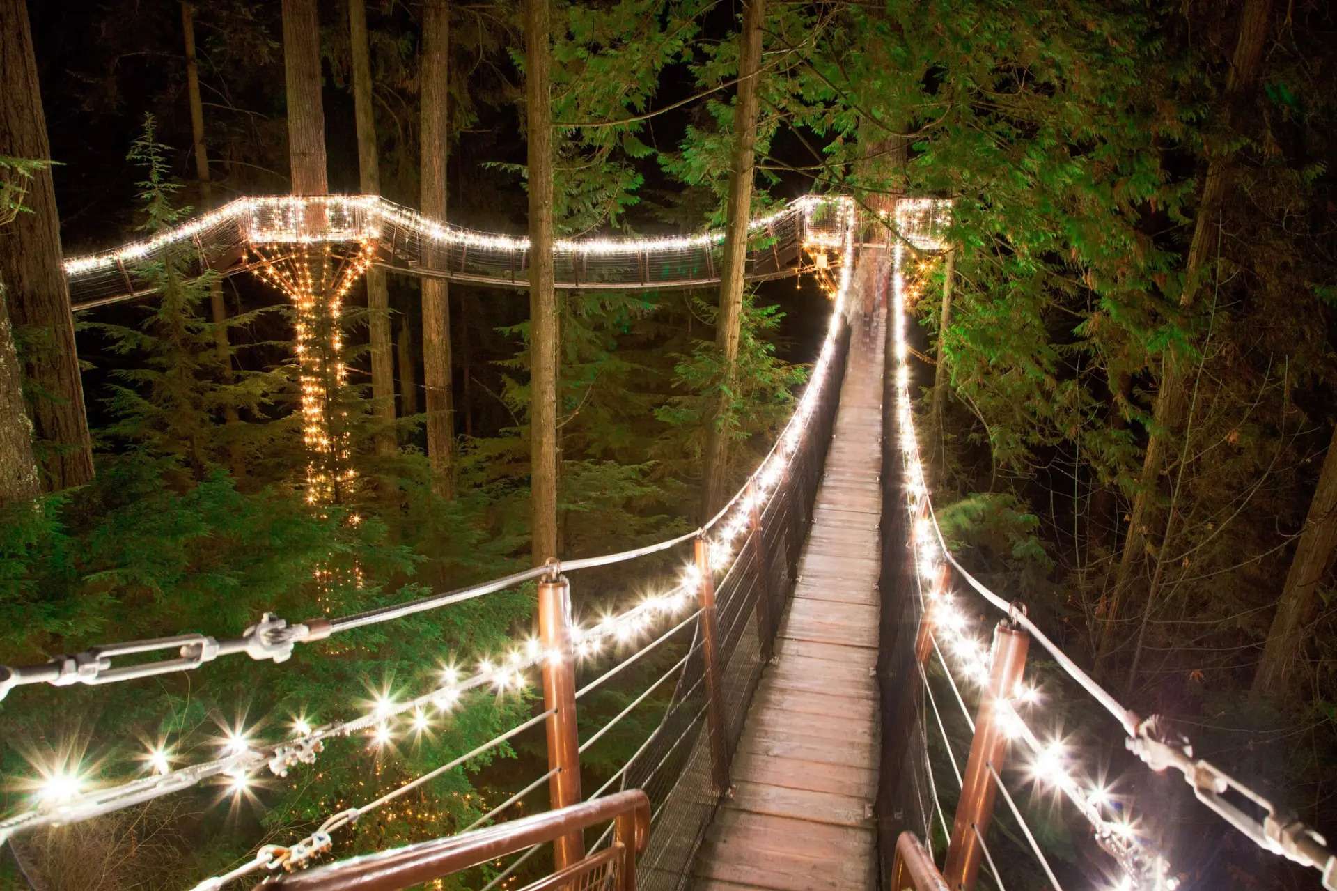 Luces festivas por la ciudad y  cañón de Capilano - Imagen 2