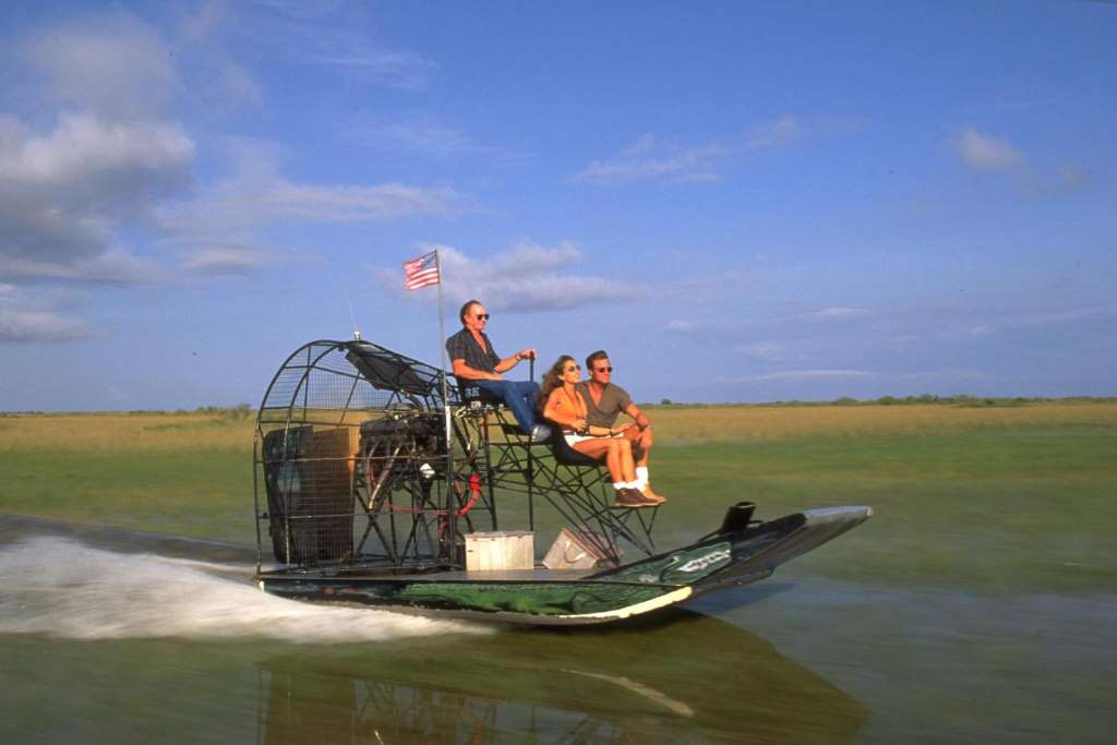 Aerobote en Everglades mas navegación por la Bahía de Biscayne - Imagen 4