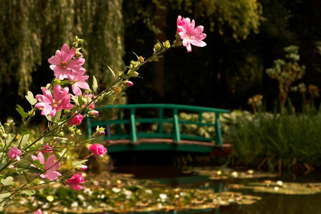 Visita guiada de los Jardines de Monet en Giverny y del Castillo de Versalles con Acceso Prioritario, Almuerzo incluido - Imagen 4
