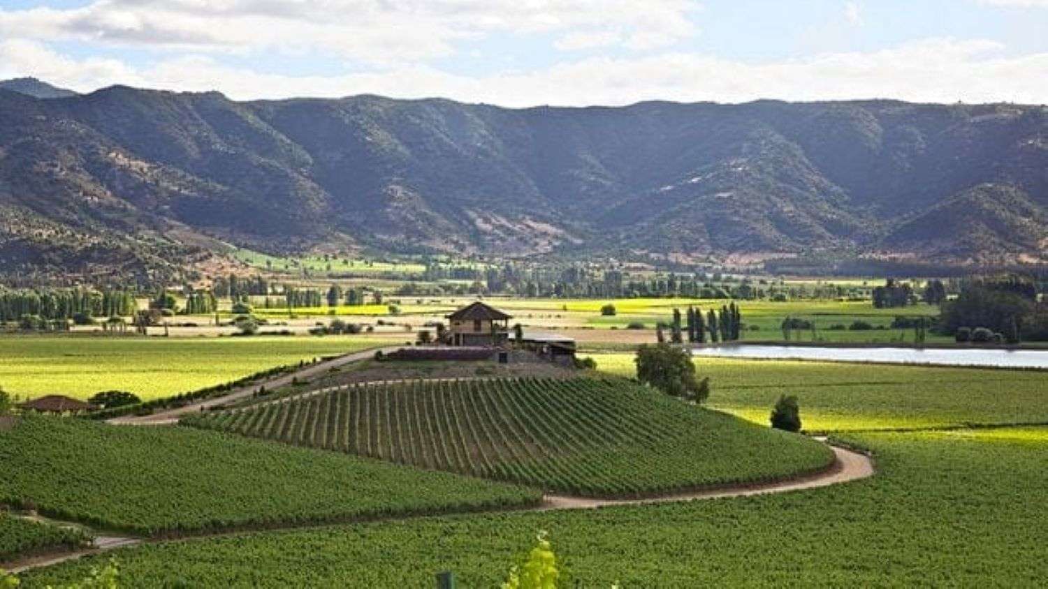Día entero Colchagua Vinícola Santa Cruz - Imagen 3